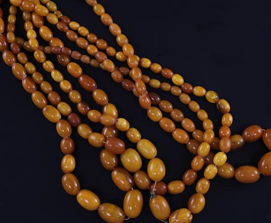 Four single strand graduated oval yellow amber bead necklaces, 24in et infra.